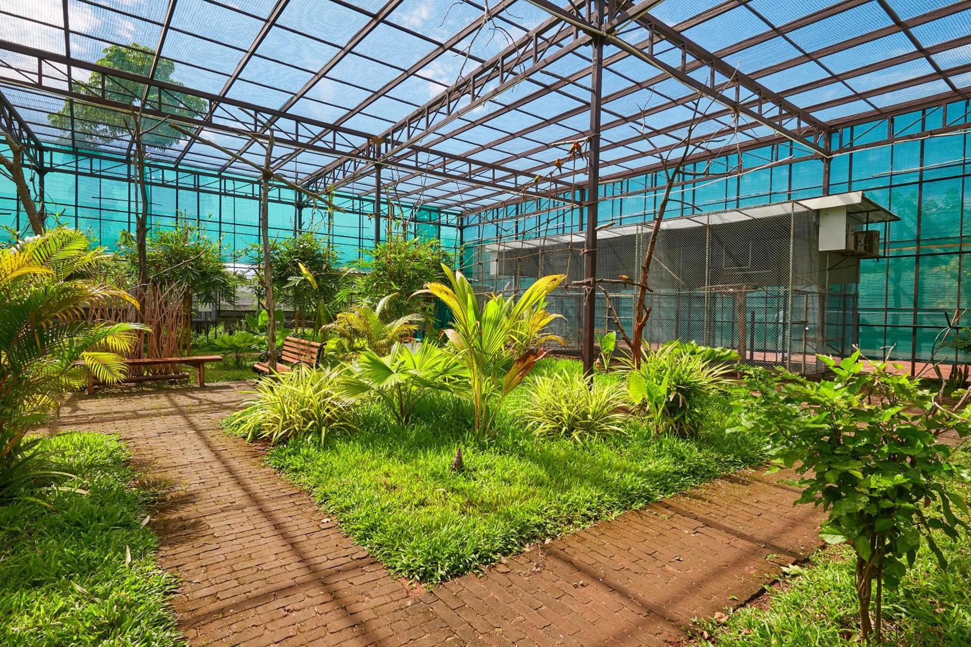 Bodhiwoods Resorts Mahabalipuram Εξωτερικό φωτογραφία